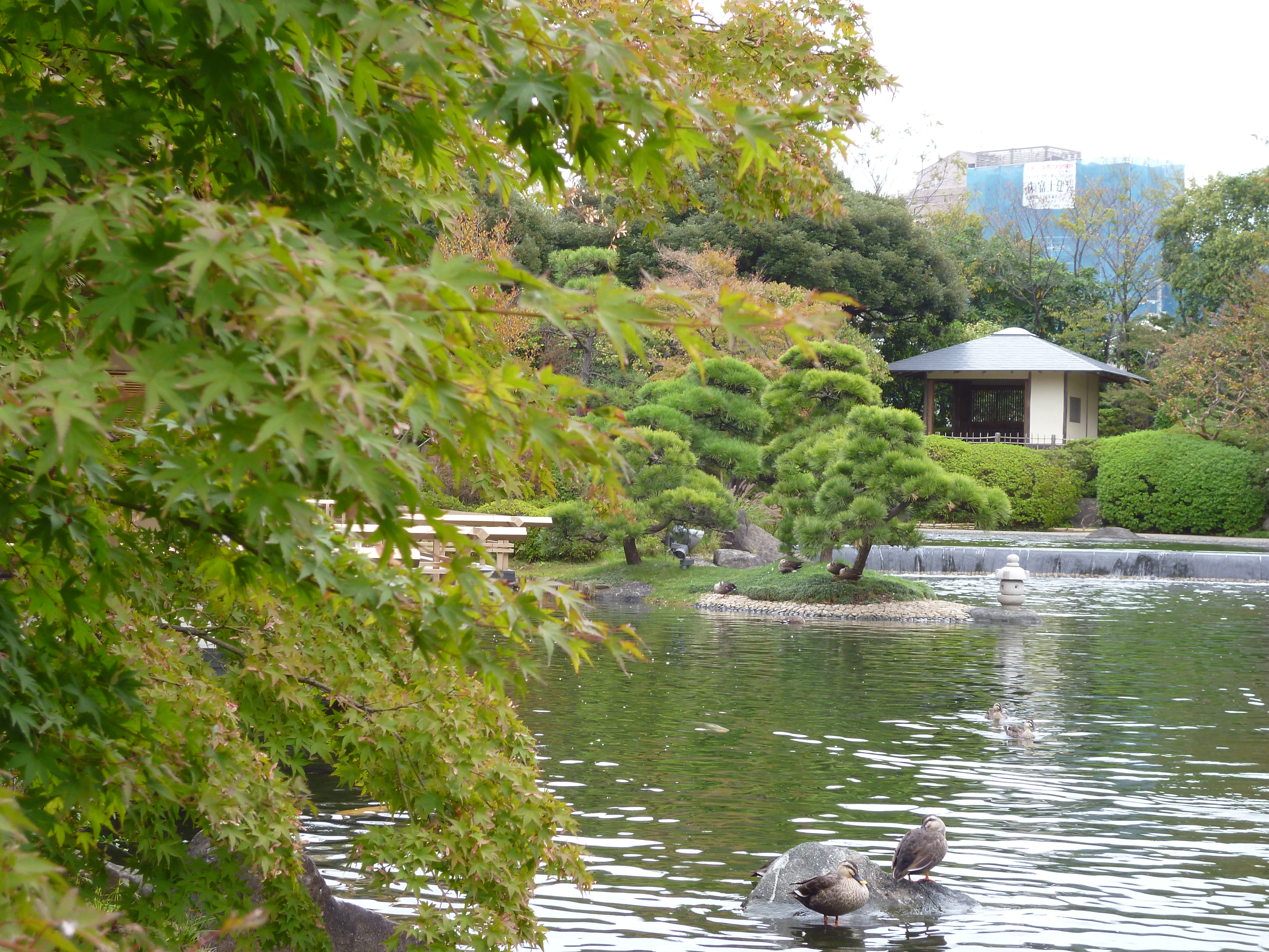 <b>DMC-FX90 / 約5.1MB / 4,000×3,000 / 1/80秒 / F4.2 / 0.0EV / ISO100 / WB:オート / 12.4mm</b>