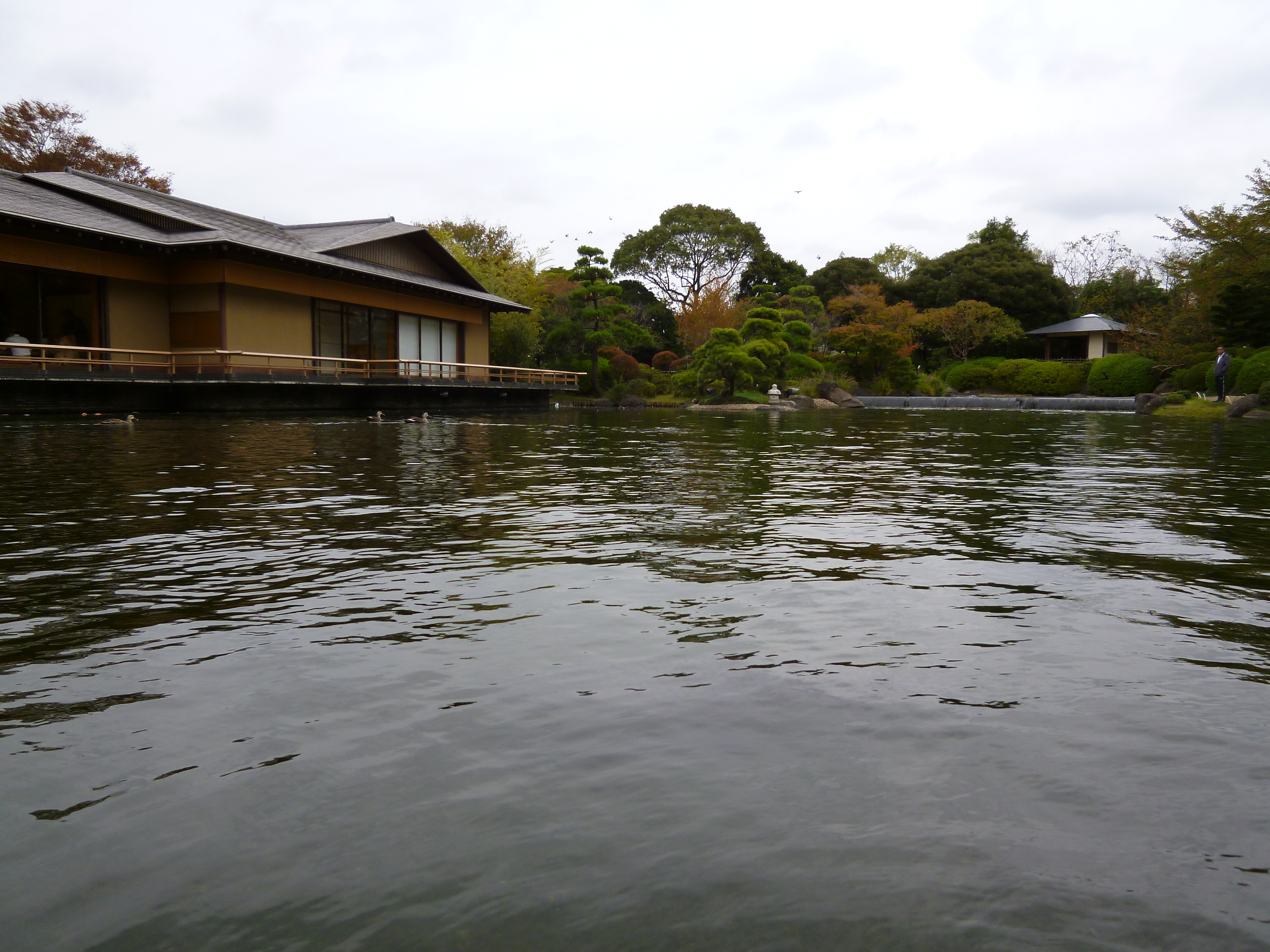 <b>DMC-FX90 / 約4.8MB / 4,000×3,000 / 1/800秒 / F2.5 / 0.0EV / ISO100 / WB:オート / 4.3mm</b>