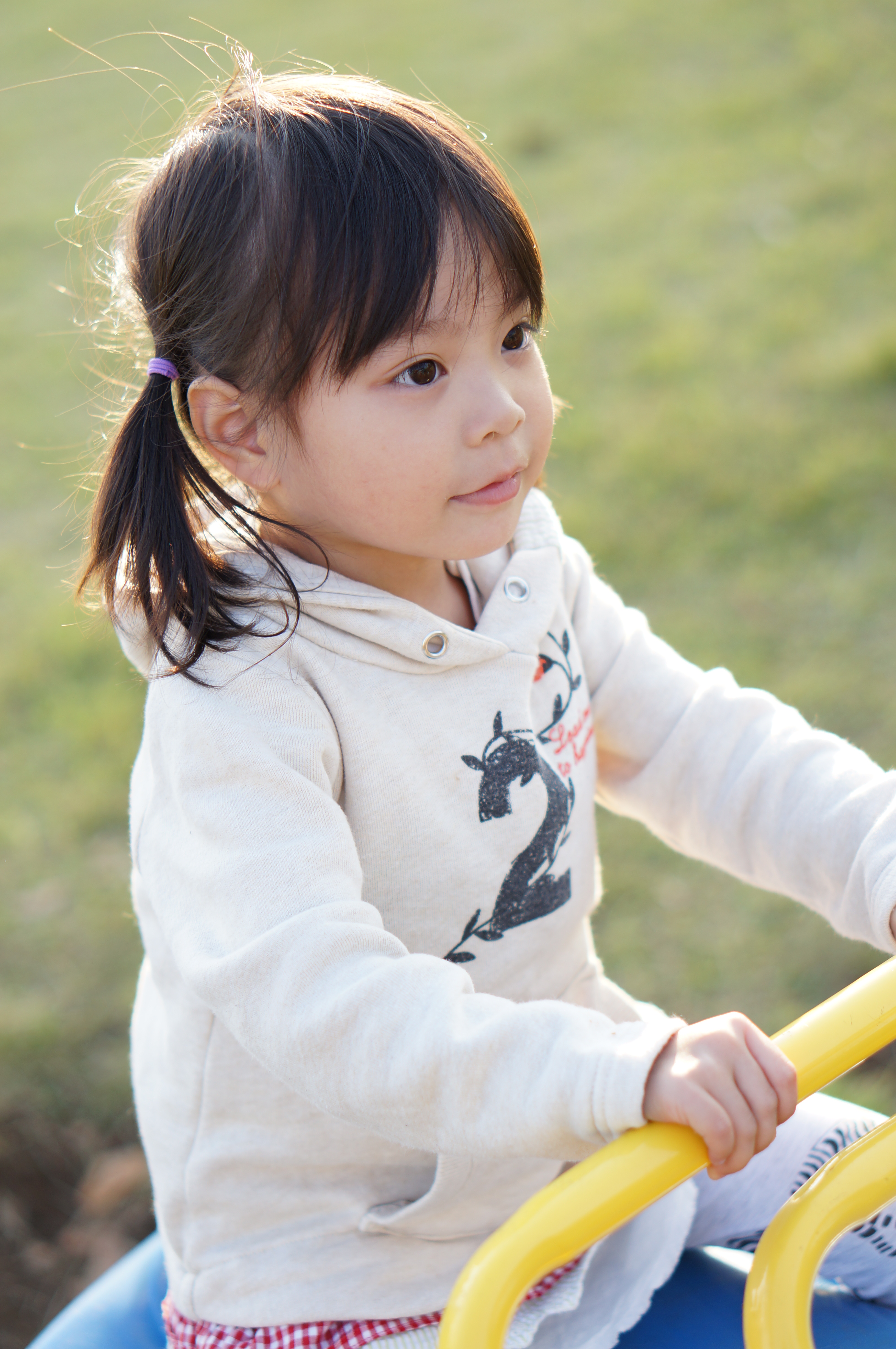 <b>NEX-5N / E 50mm F1.8 OSS / 約3.6MB / 3,264×4,912 / 1/640秒 / F2.2 / +1.3EV / ISO200 / シャッター優先AE / WB：オート / 50mm</b>