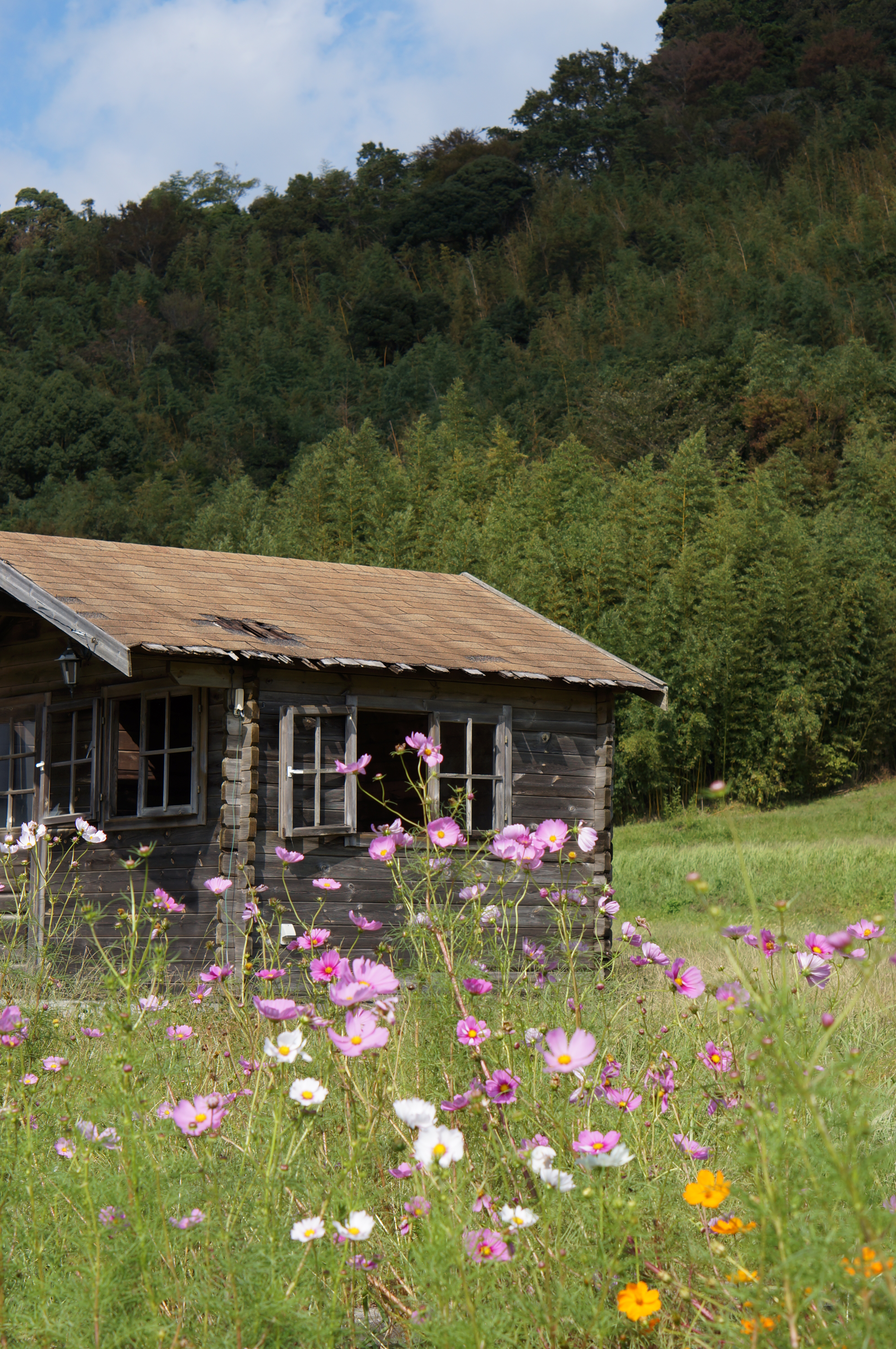 <b>NEX-5N / E 50mm F1.8 OSS / 約6.4MB / 3,264×4,912 / 1/320秒 / F7 / -0.3EV / ISO100 / 絞り優先AE / WB：オート / 50mm</b>