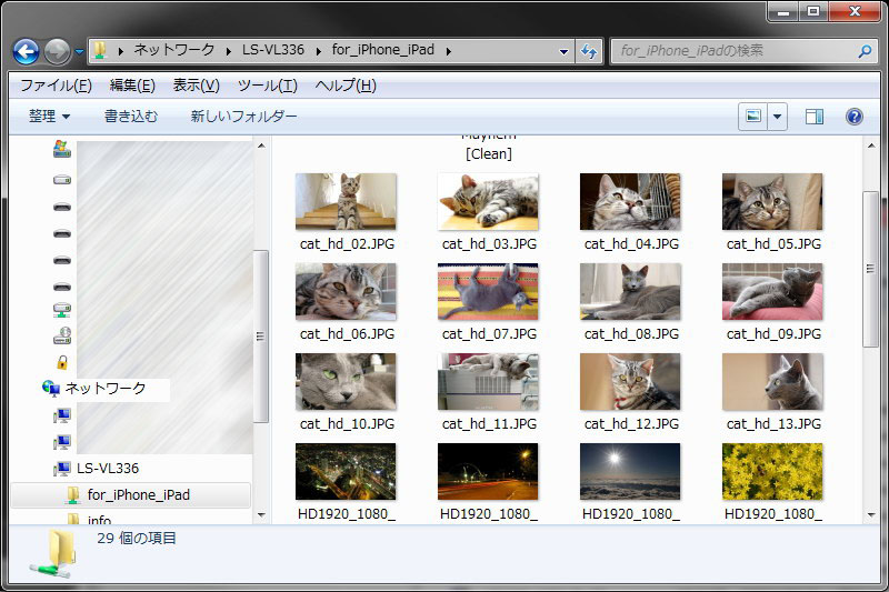 <b>NASの共有フォルダ（Webアクセス設定済み）に写真を入れてみた。お気に入りの猫写真と風景写真あたりをザザザッと</b>