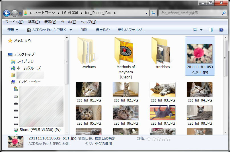 <b>アップロード後のNAS上の共有フォルダ内の様子。無事アップロードできた</b>