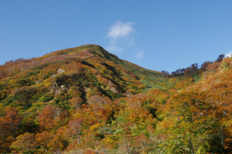<b>（参考）露出補正なしで撮れるシーンの例</b>