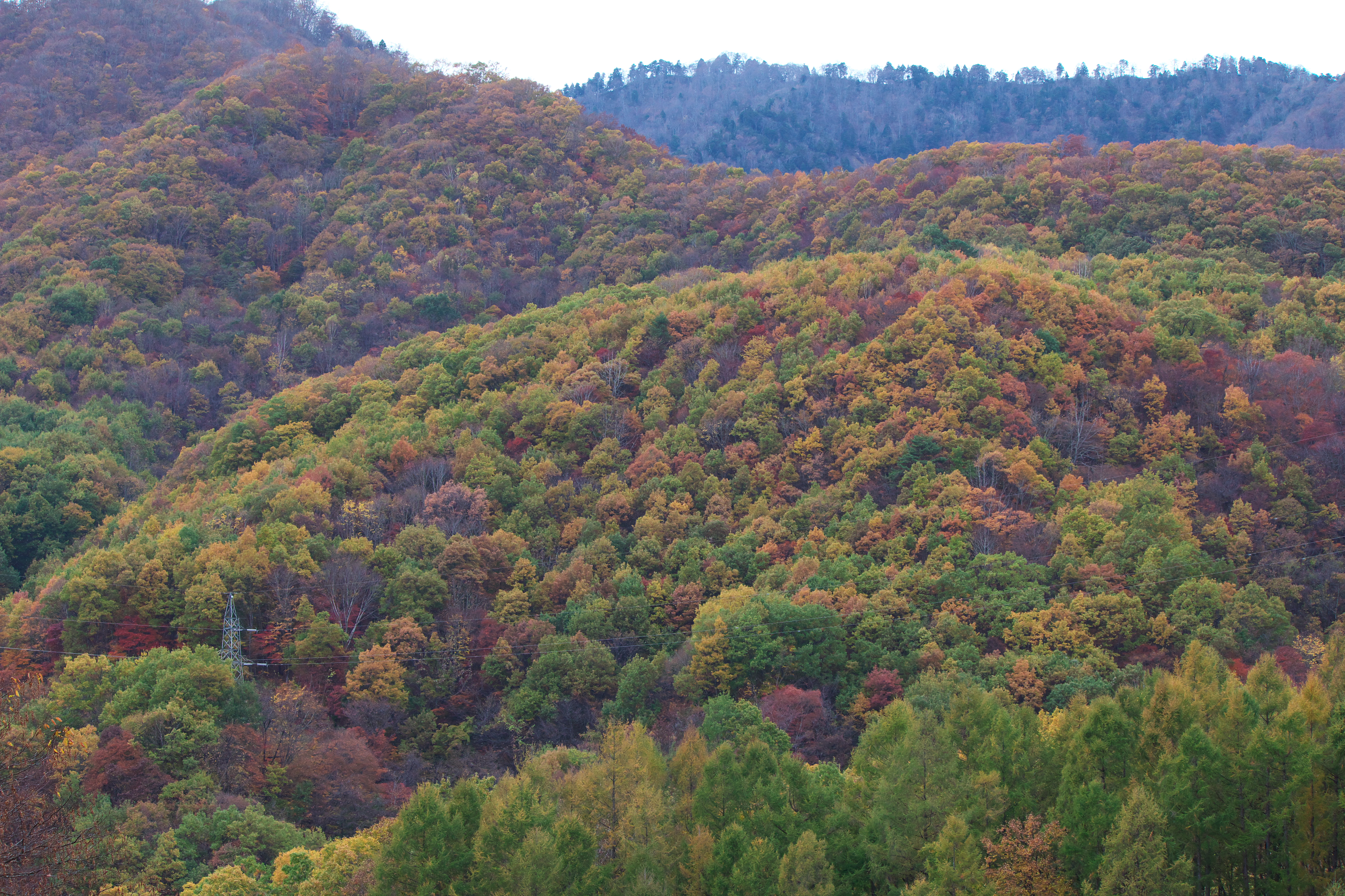 <b>曇り空で全景まで捉えようと空まで入れてしまうと、白い空が画面の緊張感を損ねてしまった。また左下に高圧線の鉄塔、下に電線といった余計なものまで入ってしまったため、風景写真としては失敗してしまった。写真全体もどこか説明的だ</b>