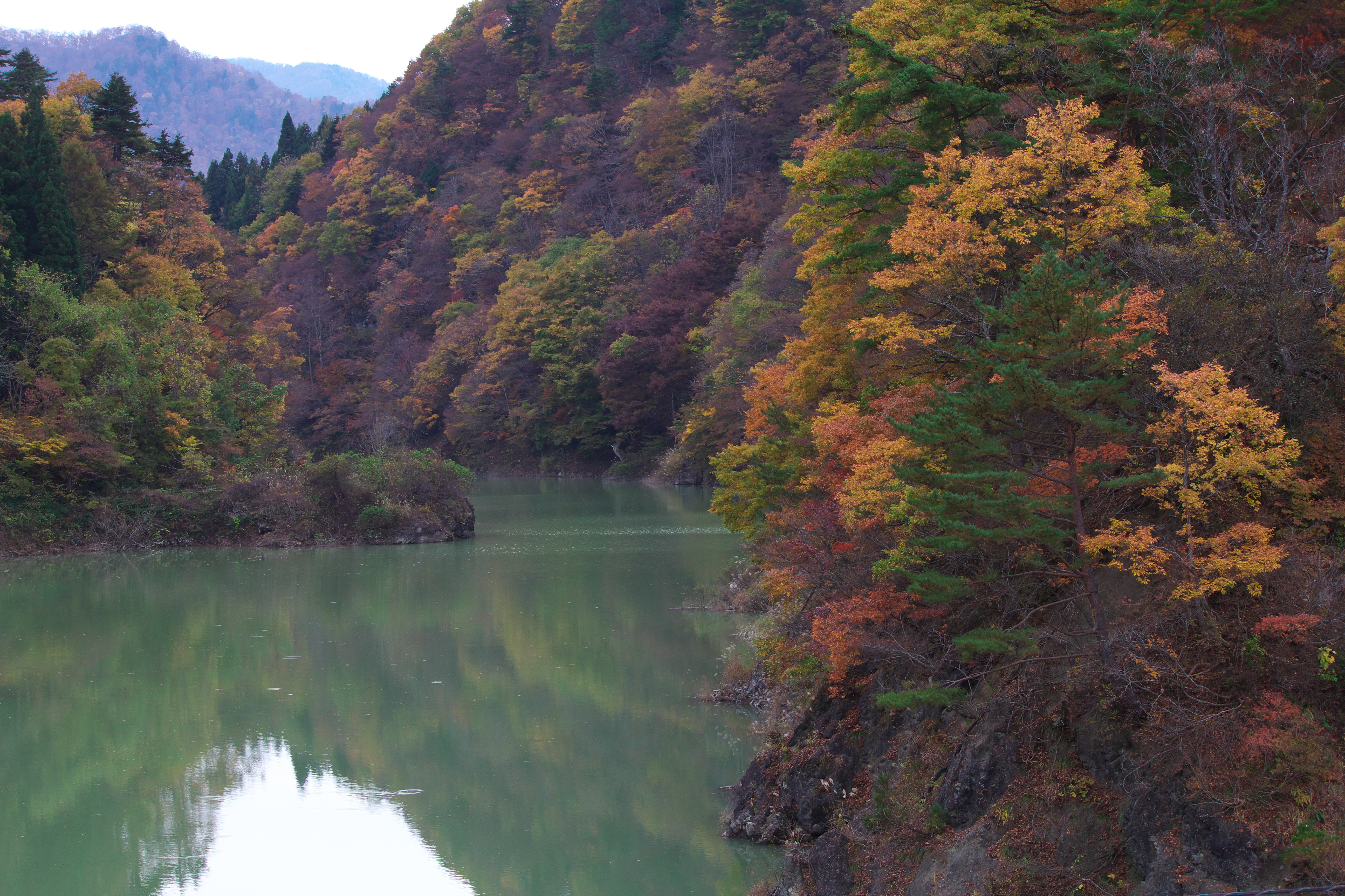 <b>画面に少しでも白い部分が入ってしまうと、主役の被写体よりもその部分が明るく目立ってしまうため、被写体に目が誘導されない写真になってしまう</b>