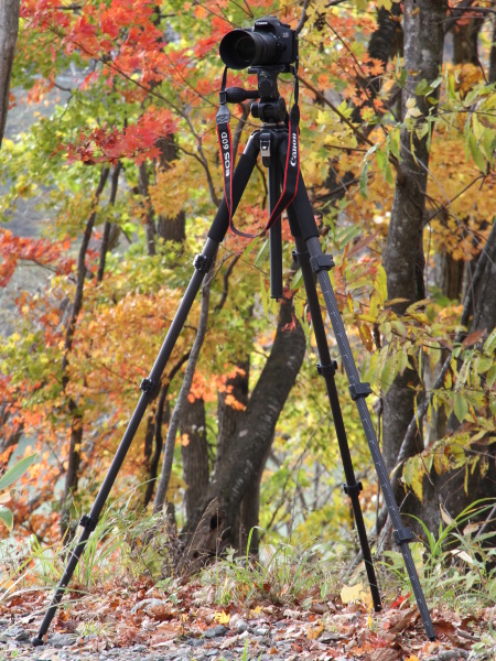 <b>ジオ・カルマーニュE645。ベルボン直販サイトでの販売価格は5万4,800円</b>