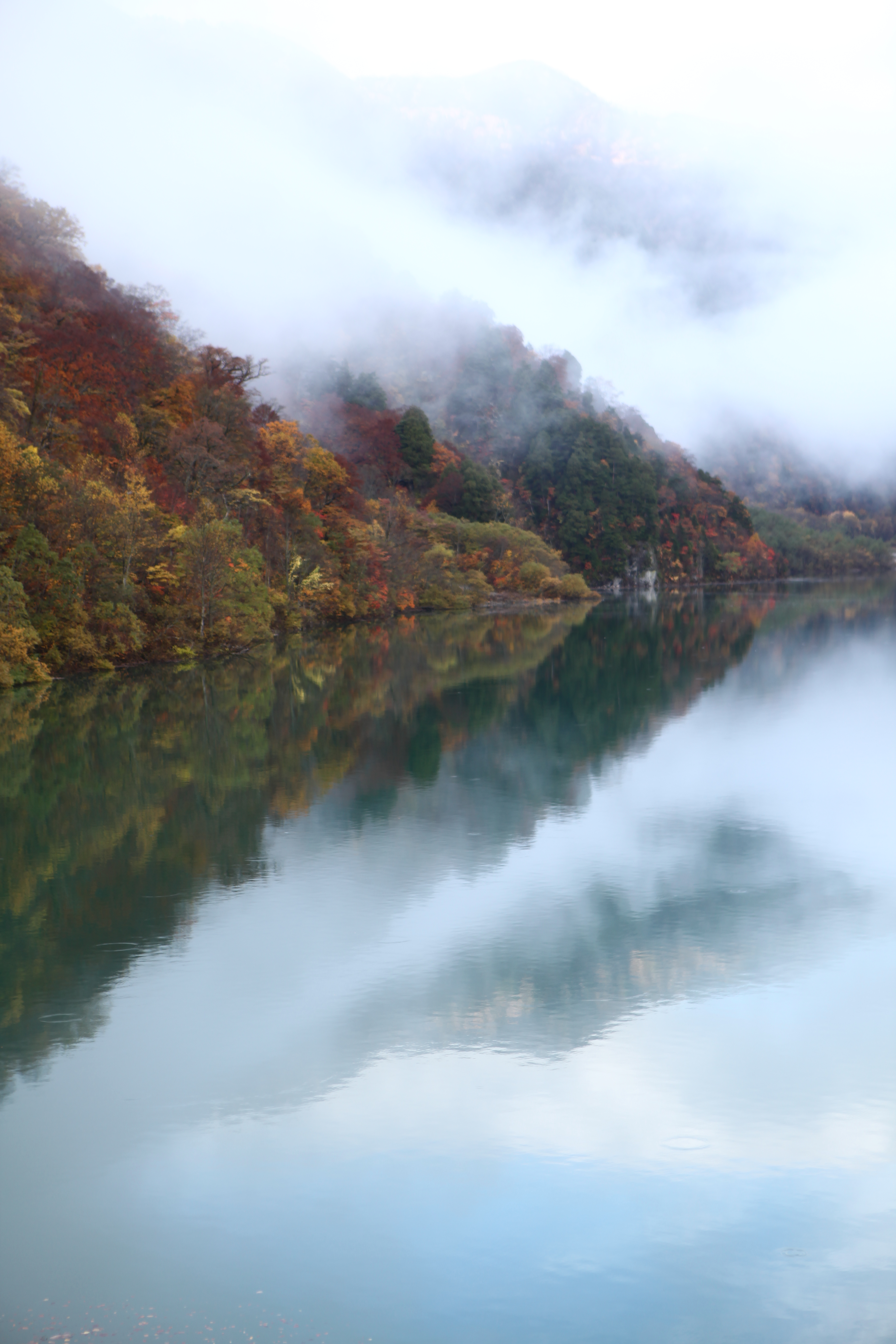 <b>EOS 5D Mark II / EF 24-70mm F2.8 L USM / 約4.4MB / 3,744×5,616 / 1/125秒 / F4 / 0EV / ISO200 / 70mm</b>