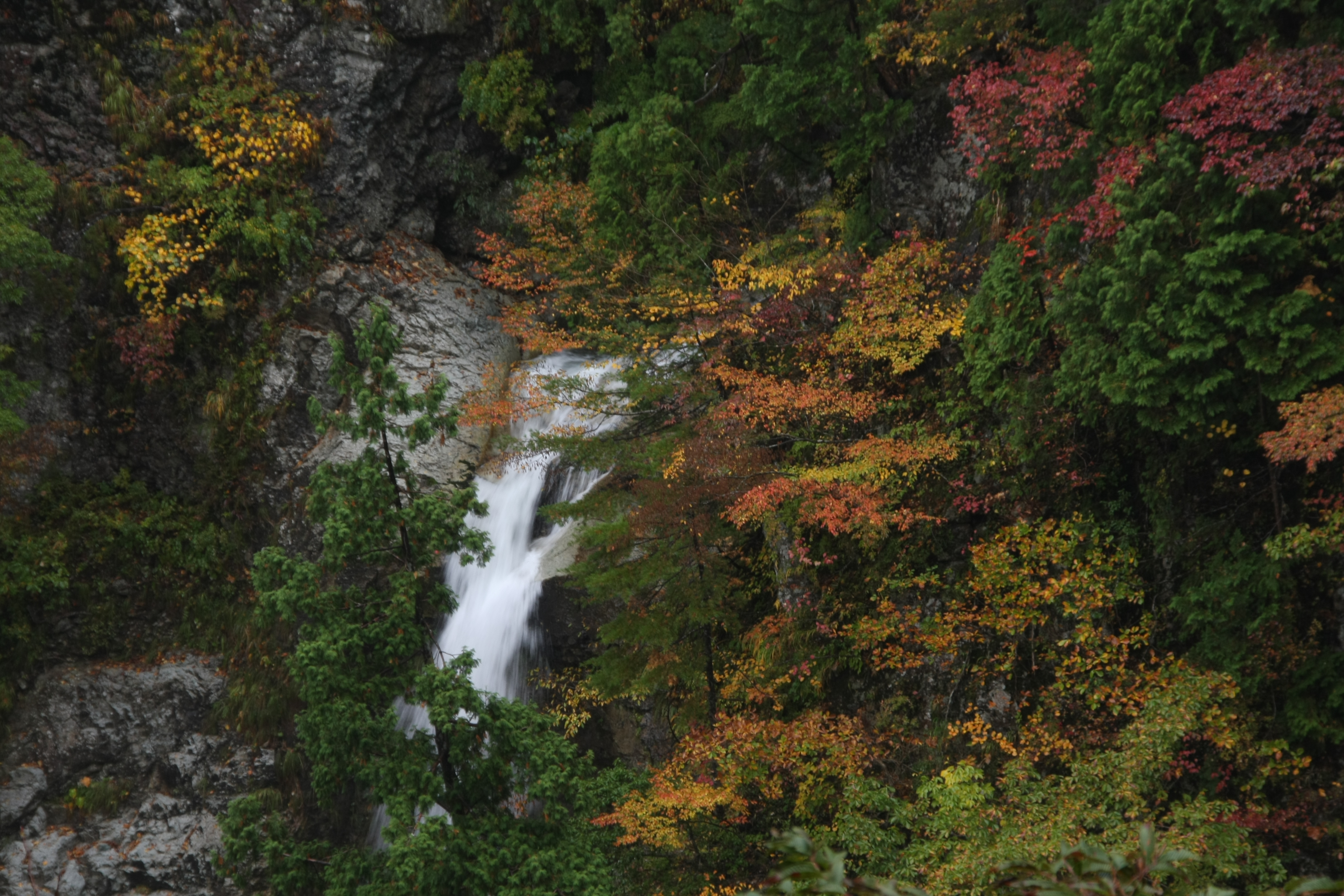 <b>EOS 40D / 約3.5MB / 3,888×2,592 / 1/15秒 / F8 / -0.7EV / ISO200 / 96mm</b>