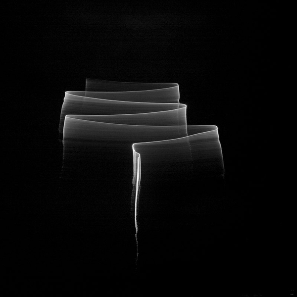 <b>（c）白神政史</b>