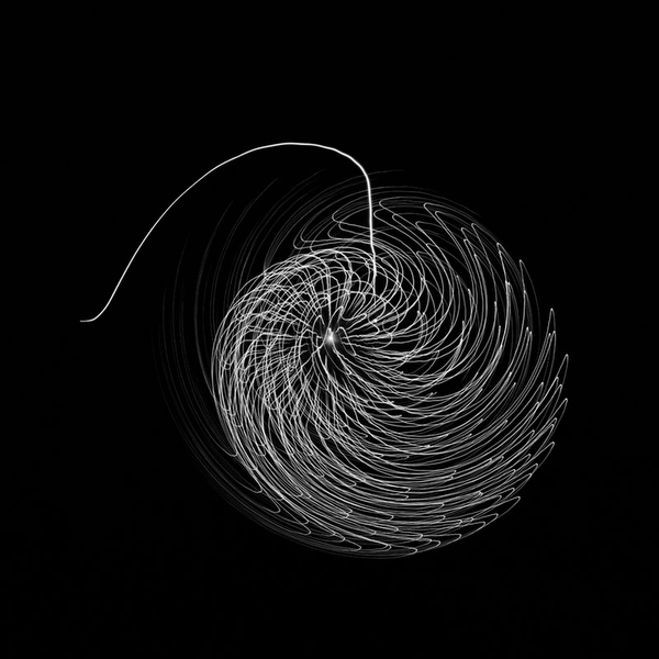 <b>（c）白神政史</b>