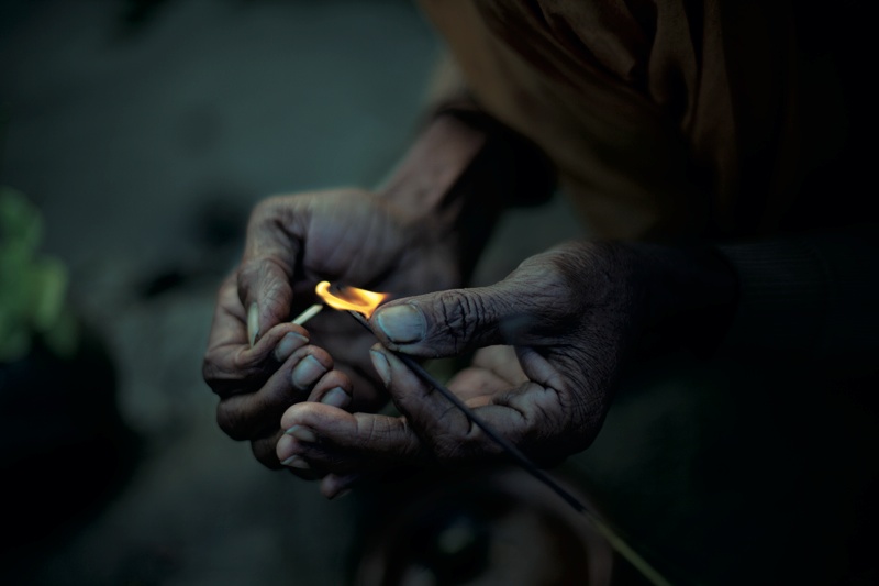 <b>(c) SHINYA FUJIWARA</b>