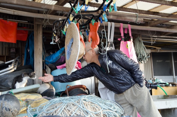 <b>路地裏を歩きながら藤原さんはすぐに第1ネコを発見したが、近づいてはすぐに逃げられた。その後も第2ネコ、第3ネコと漁師町にはネコ村があるので、散歩しながらもネコ、猫、ねこetc</b>