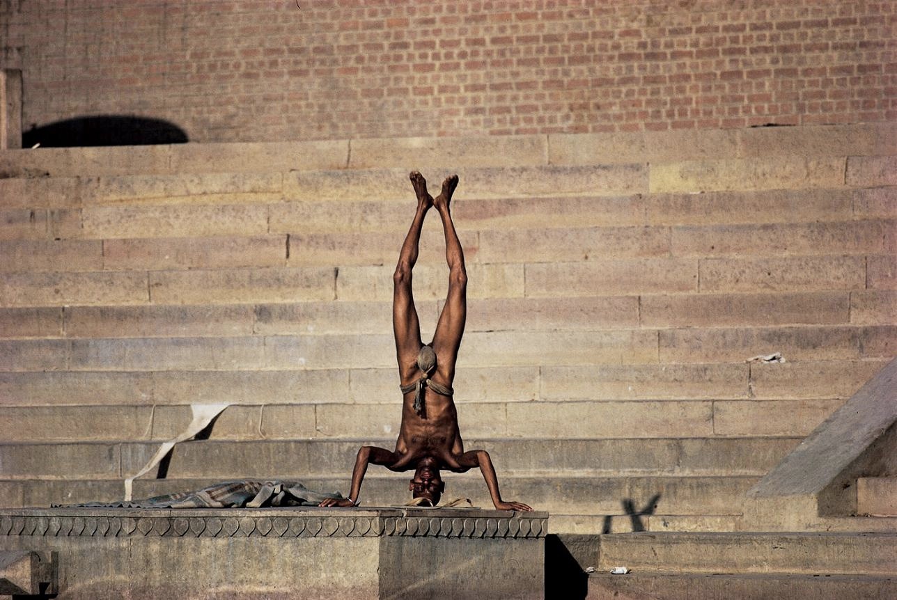 <b>(c) SHINYA FUJIWARA</b>