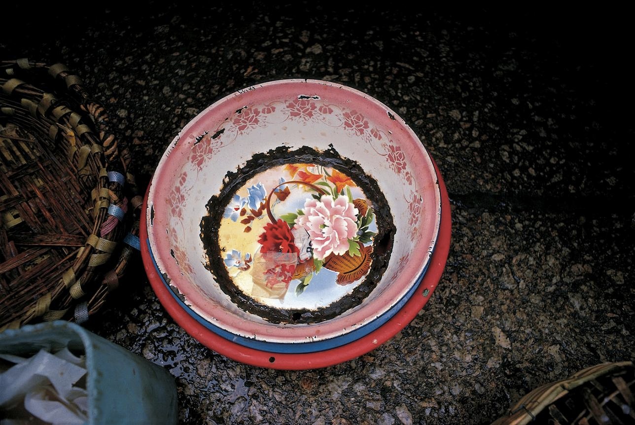 <b>(c) SHINYA FUJIWARA</b>