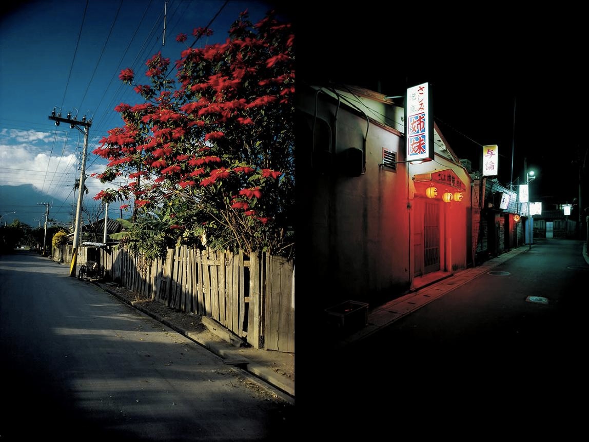 <b>(c) SHINYA FUJIWARA</b>