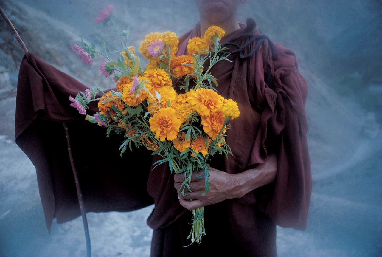 <b>(c) SHINYA FUJIWARA</b>