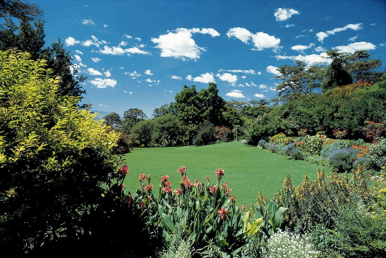 <b>(c) SHINYA FUJIWARA</b>