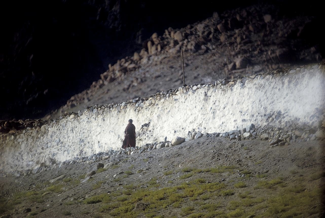 <b>(c) SHINYA FUJIWARA</b>