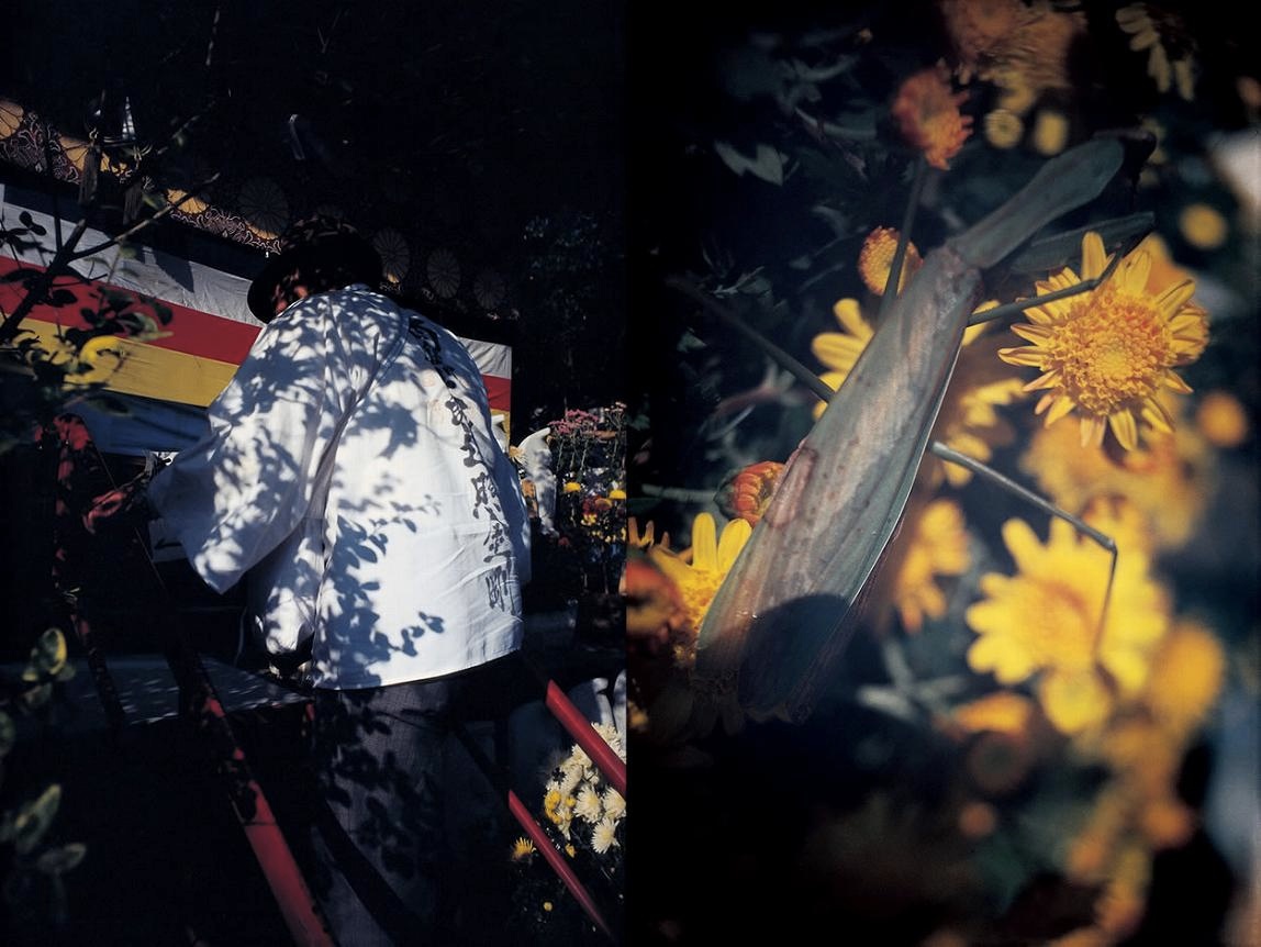 <b>(c) SHINYA FUJIWARA</b>