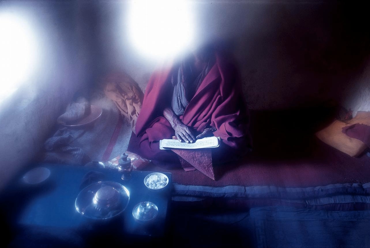 <b>(c) SHINYA FUJIWARA</b>