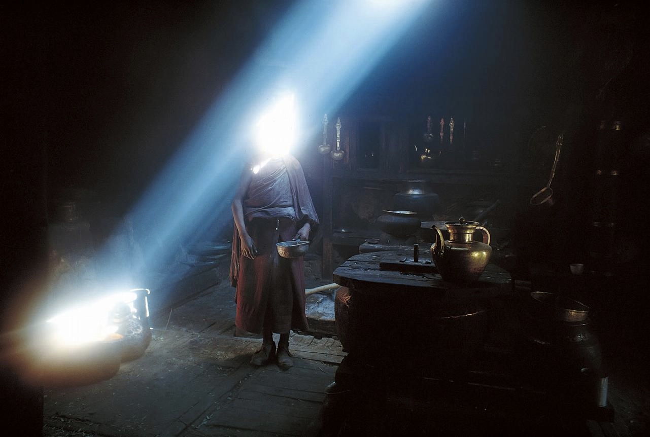 <b>(c) SHINYA FUJIWARA</b>