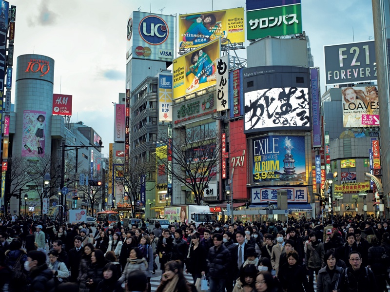 <b>(c) SHINYA FUJIWARA</b>