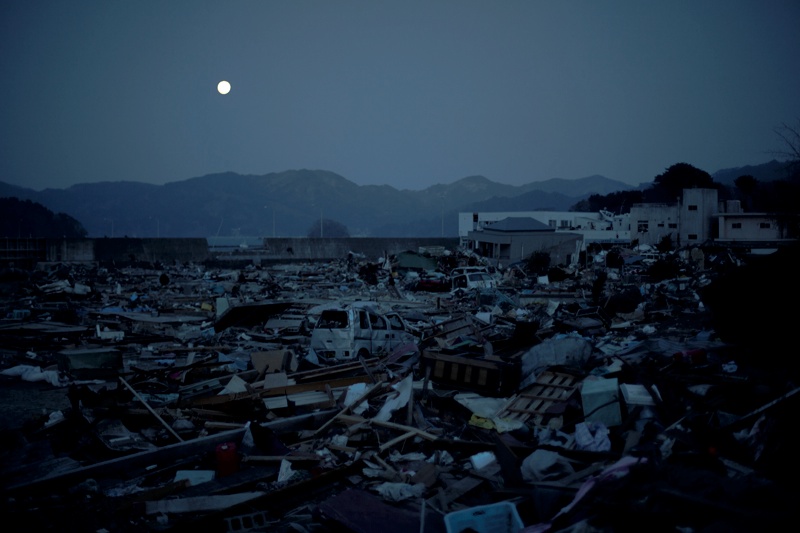 <b>(c) SHINYA FUJIWARA</b>