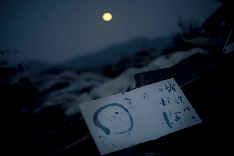 <b>(c) SHINYA FUJIWARA</b>