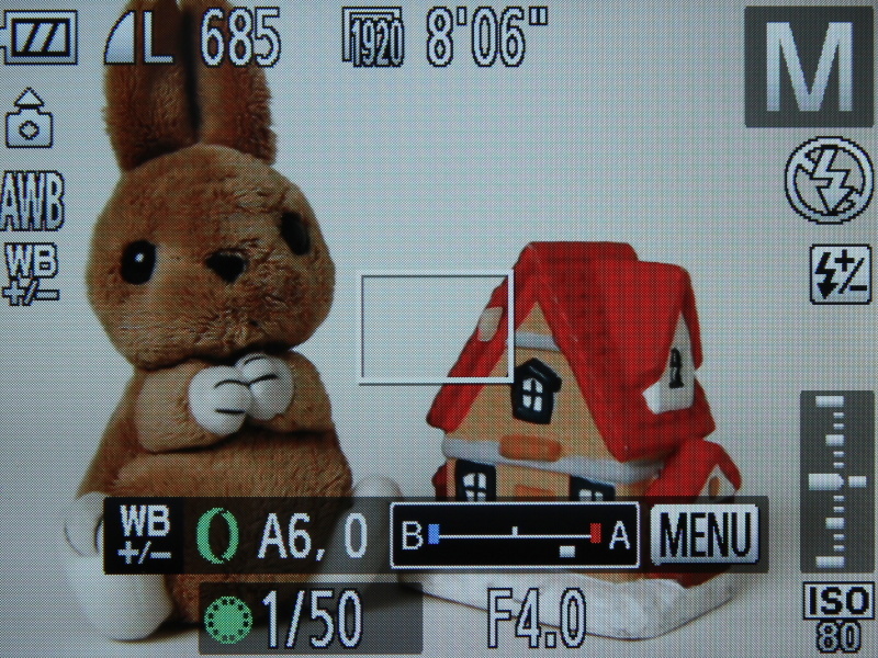 <b>前面のコントローラーリングにホワイトバランス調整を割り当てたところ</b>