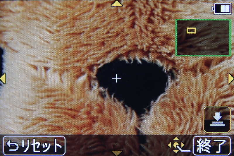 <b>AF合焦時に自動で拡大表示することも可能</b>