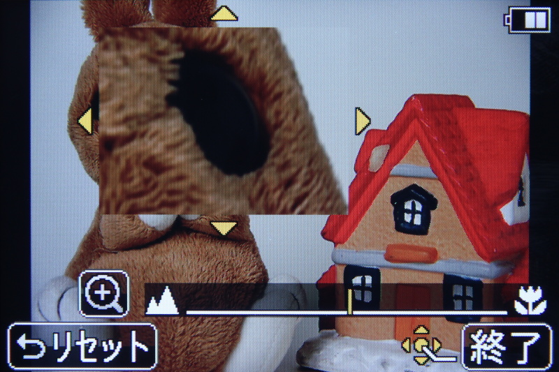 <b>フォーカス位置も表示可能。拡大位置は自由に動かせる</b>