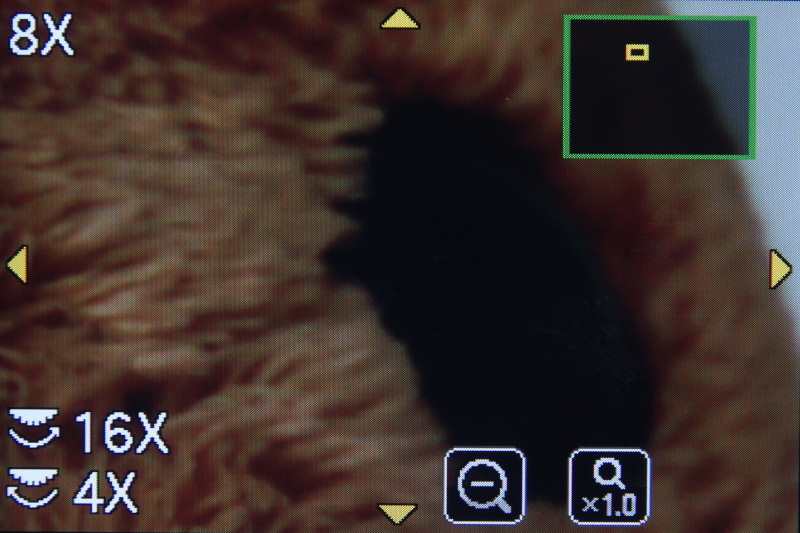 <b>タッチ操作で拡大可能</b>