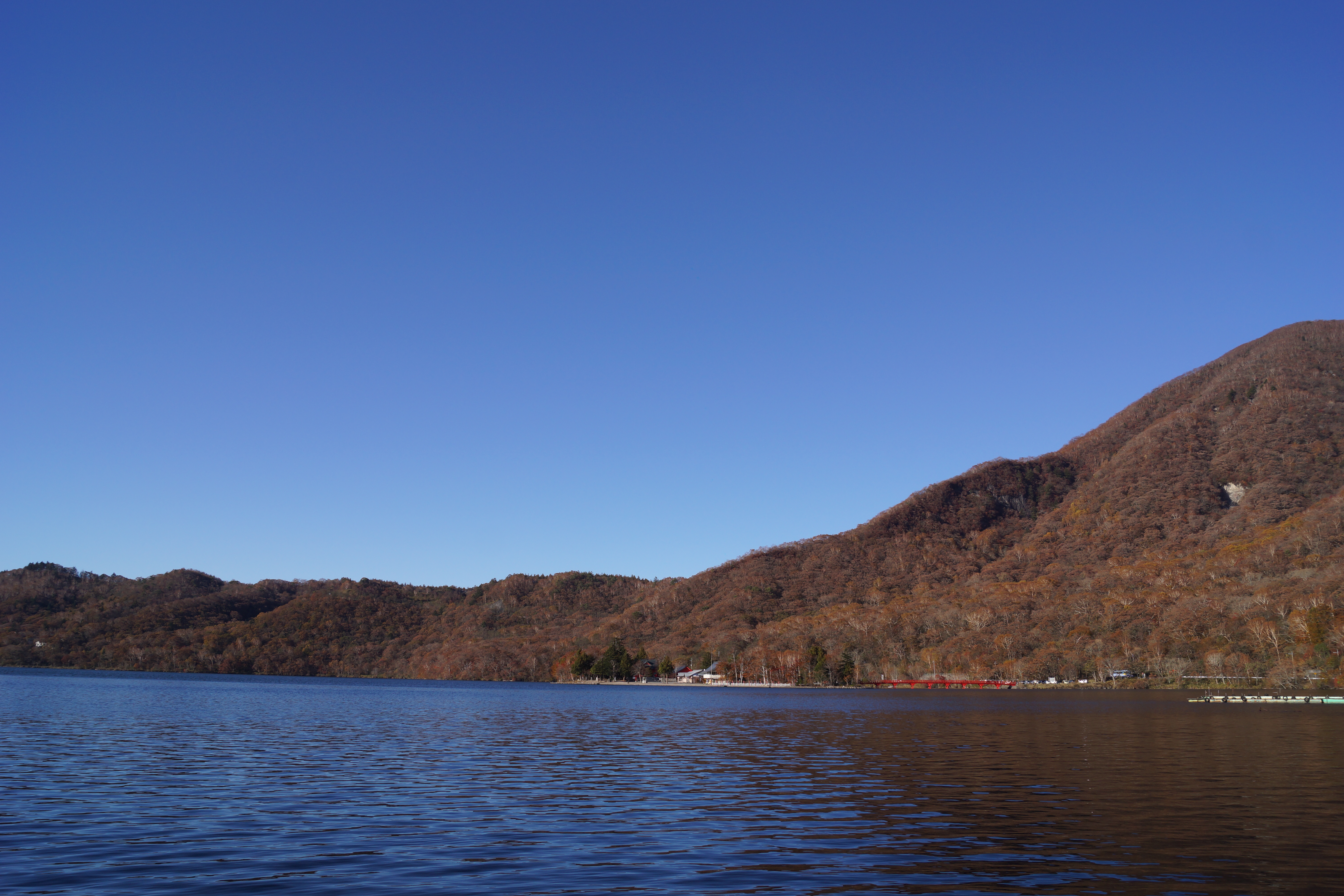 <b>α65 / DT 18-55mm F3.5-5.6 SAM / 約6.6MB / 6,000×4,000 / 1/500秒 / F8 / 0EV / ISO100 / 18mm</b>