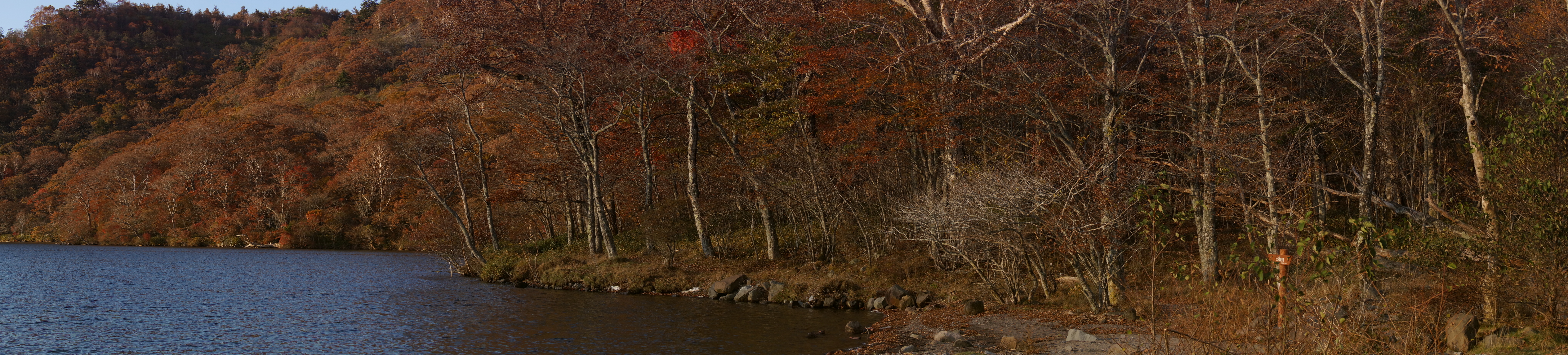 <b>α65 / DT 18-55mm F3.5-5.6 SAM / 約7.8MB / 8,192×1,856 / 1/160秒 / F8 / 0EV / ISO100 / 40mm / スイングパノラマ</b>