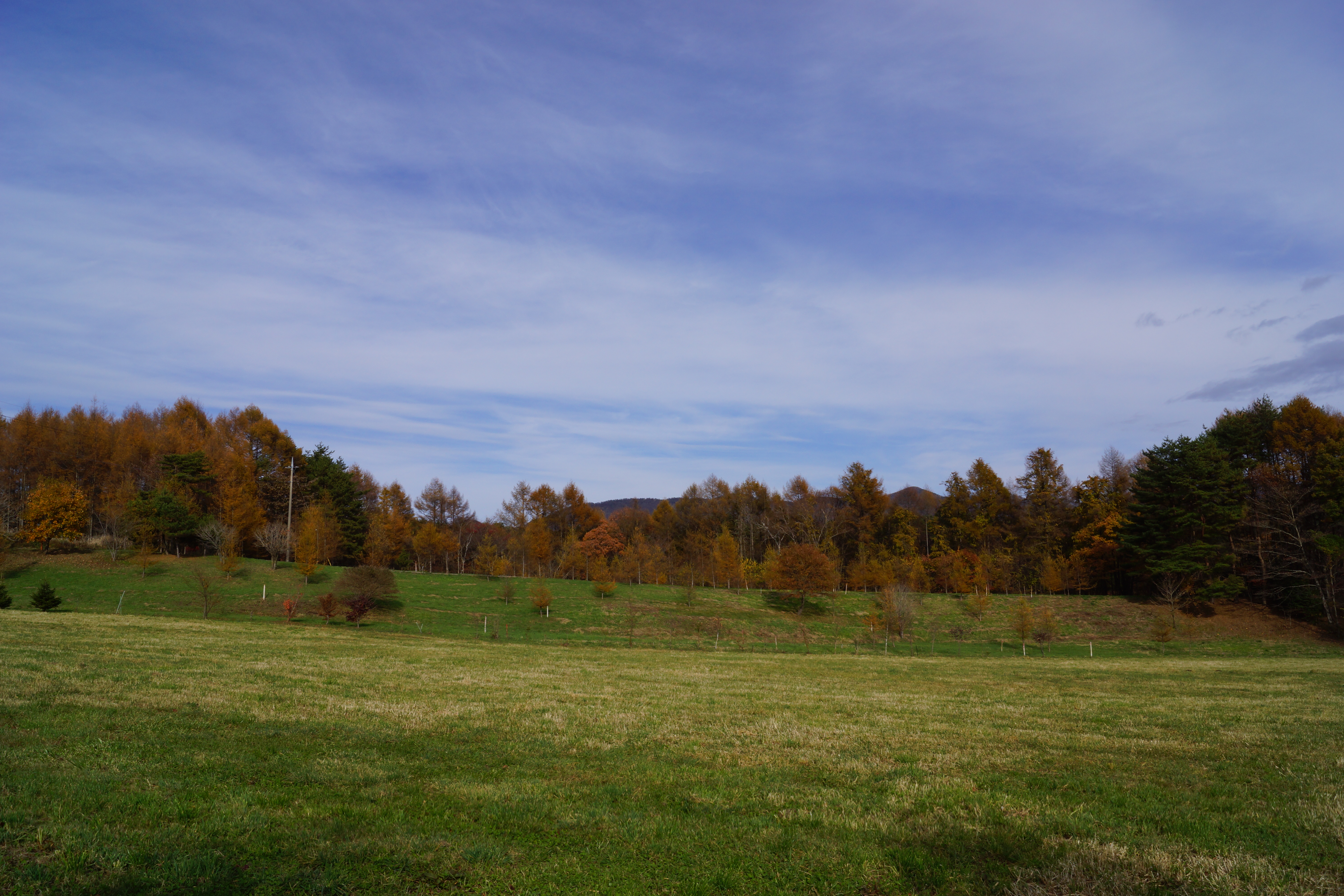 <b>α65 / DT 18-55mm F3.5-5.6 SAM / 約7.5MB / 6,000×4,000 / 1/200秒 / F13 / 0EV / ISO100 / 18mm</b>