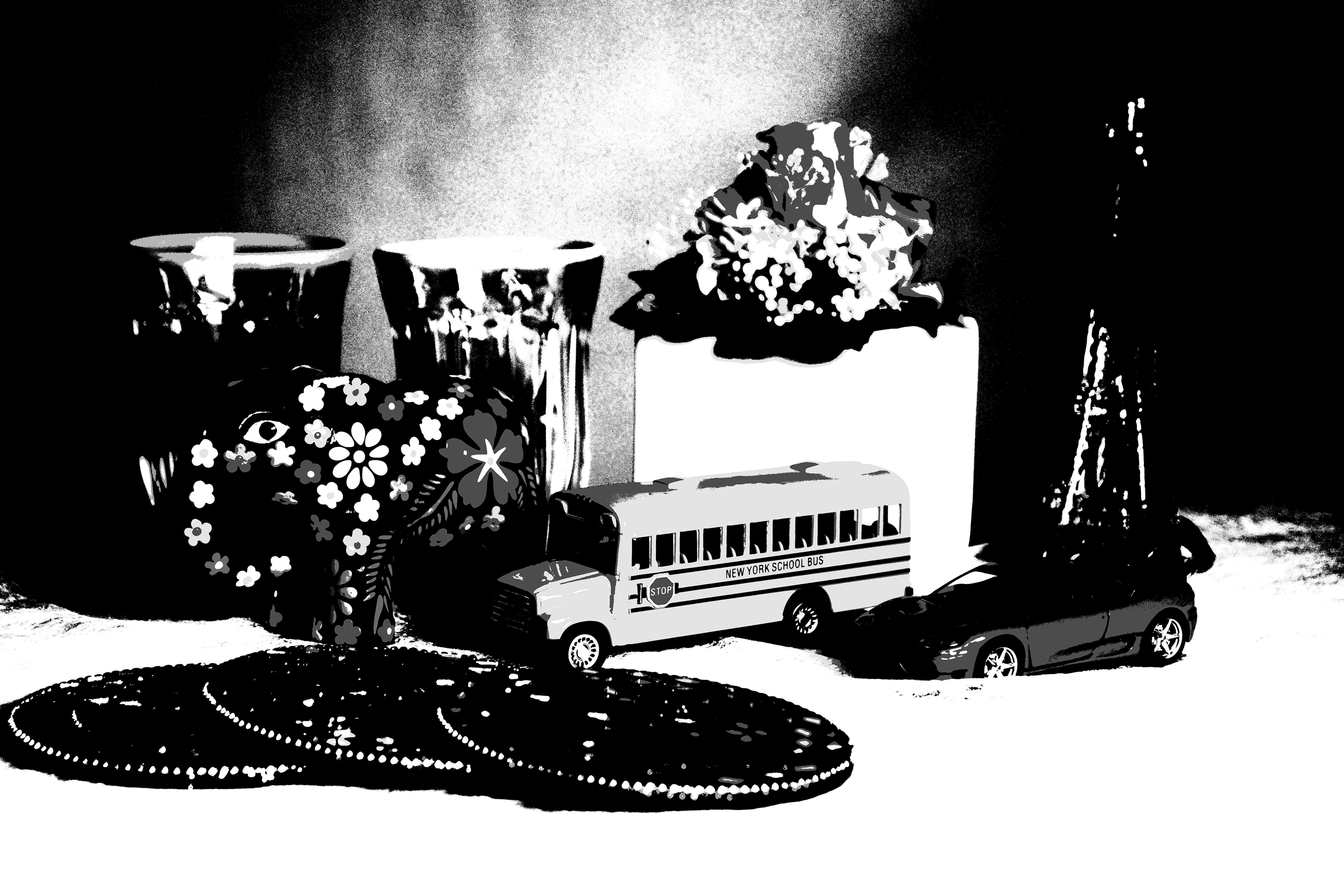 <b>ポスタリゼーション：白黒</b>