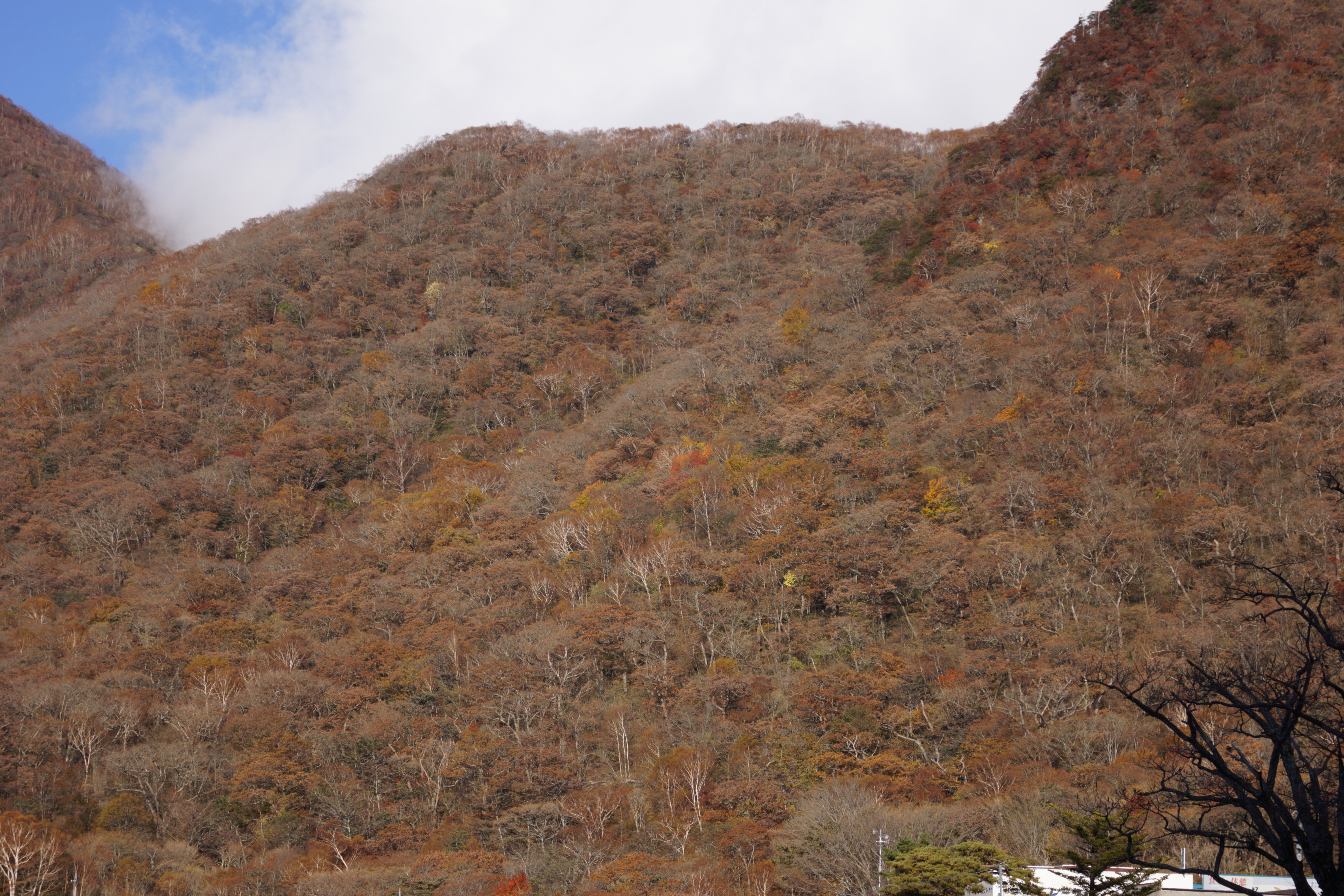 <b>シャープネス：-3（F5.6）</b>