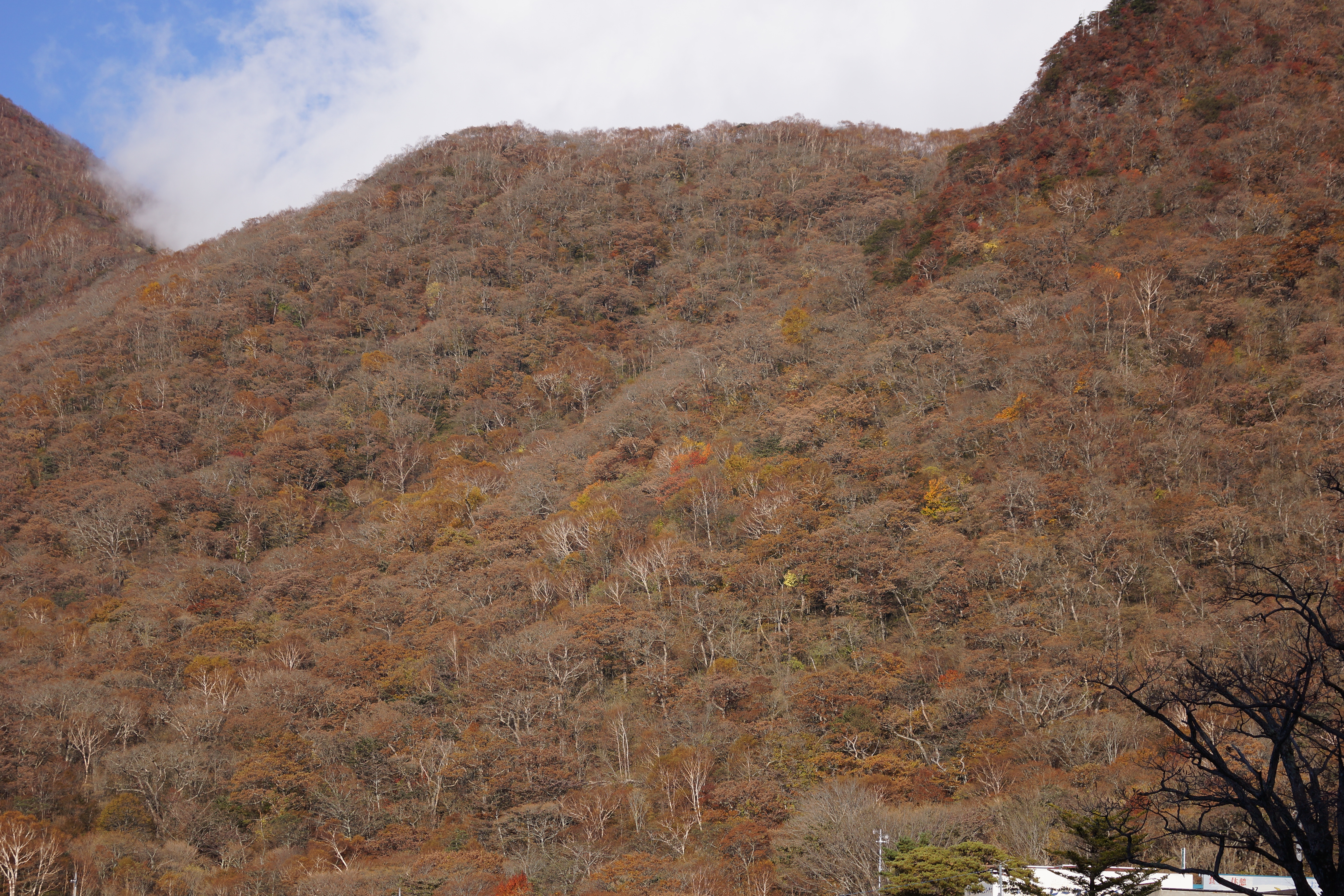 <b>シャープネス：＋3（F5.6）</b>