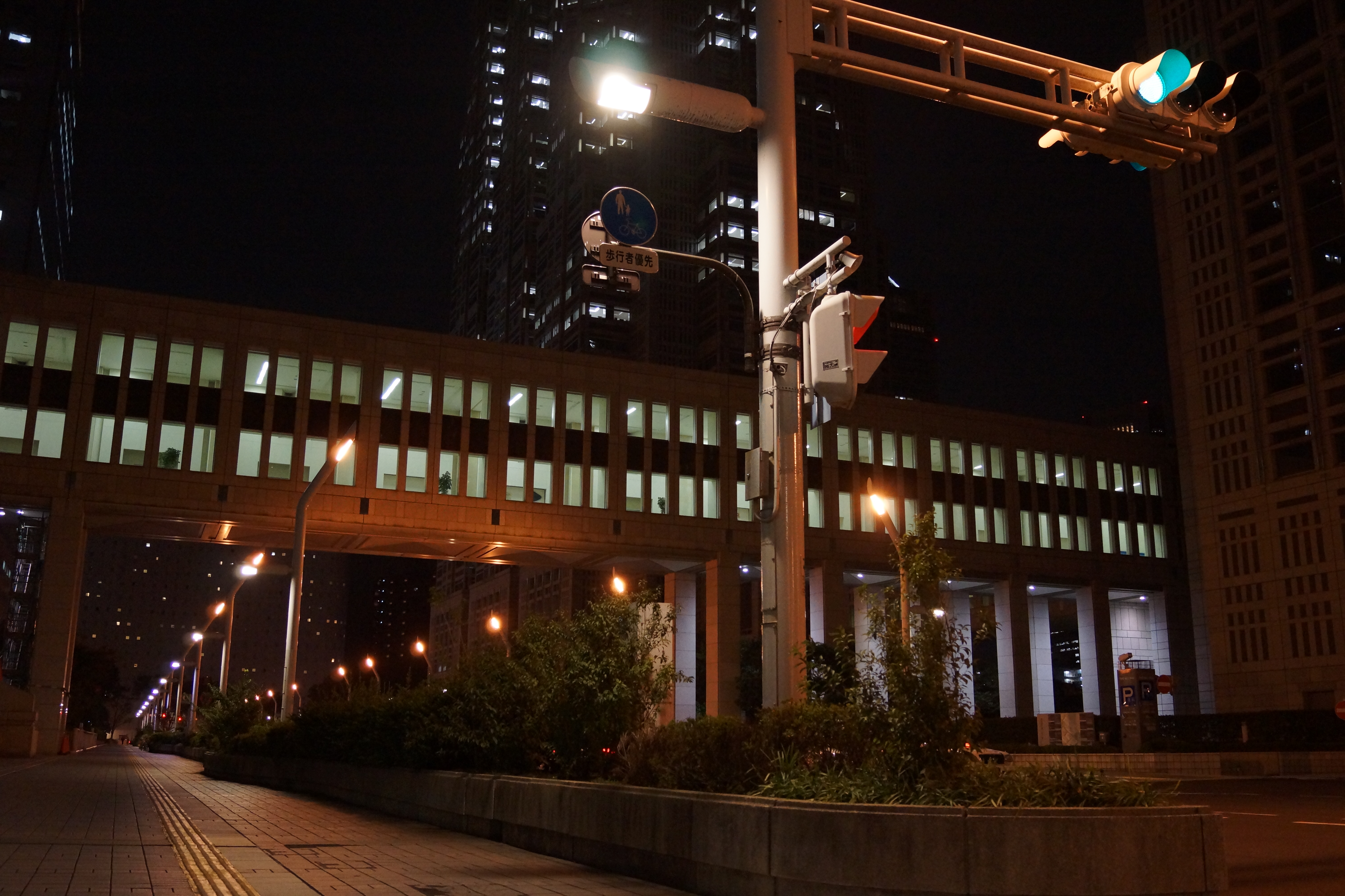 <b>α65 / DT 18-55mm F3.5-5.6 SAM / 約5.2MB / 6,000×4,000 / 1/30秒 / F4 / 0EV / ISO1600 / 22mm / シーンモード：三脚夜景</b>