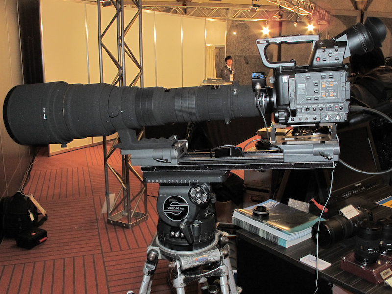 <b>APO 300-800mm F5.6 EX DG HSMでの使用例</b>