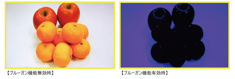 <b>ブルーガン機能の例</b>