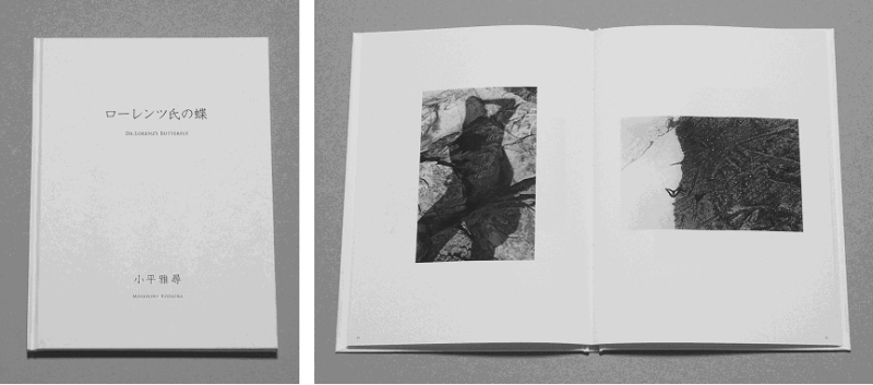 <b>ローレンツ氏の蝶</b>