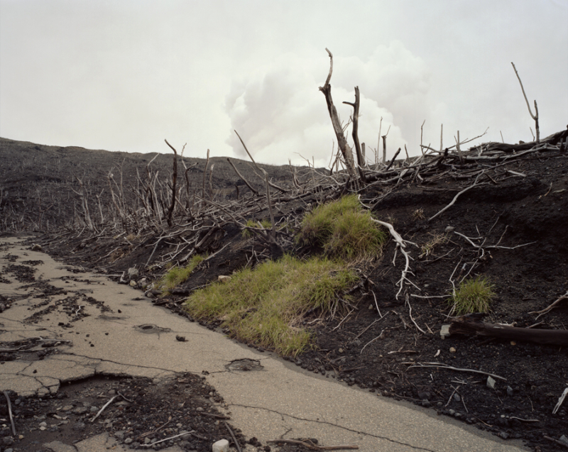 <b>（c）冨永晋</b>