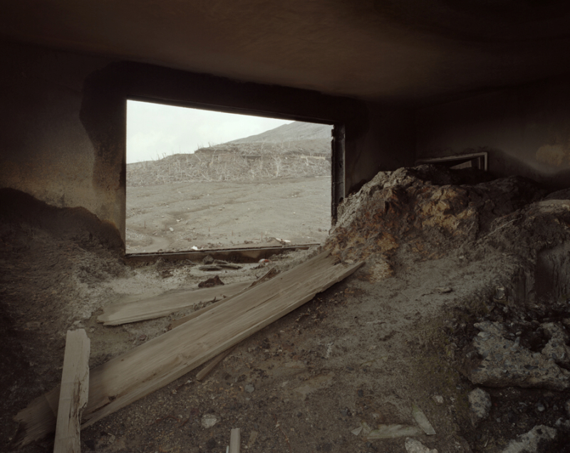 <b>（c）冨永晋</b>