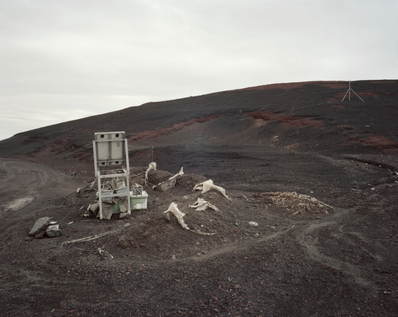 <b>（c）冨永晋</b>