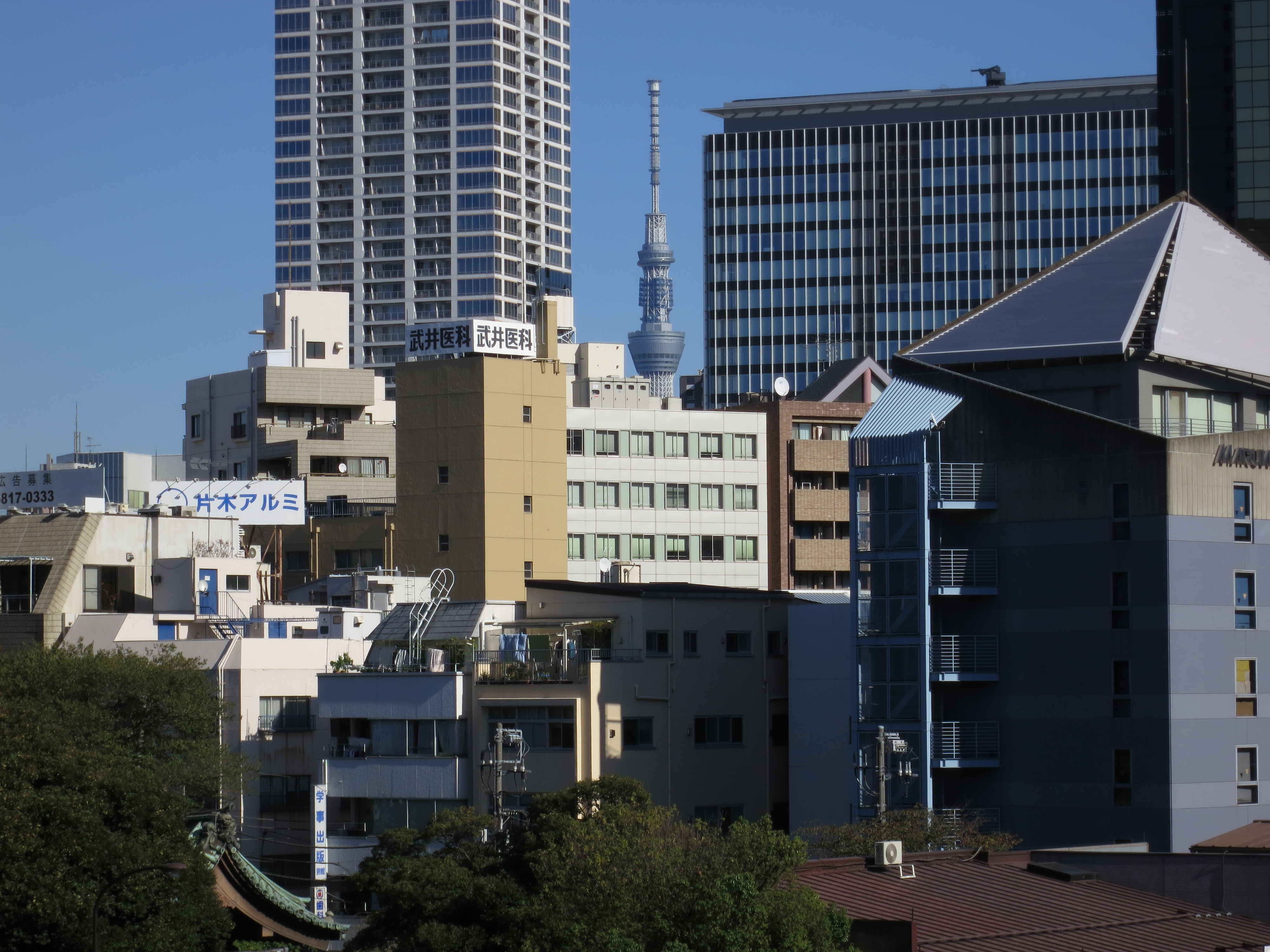 <b>望遠端 / PowerShot S100 / 約2.9MB / 4,000×3,000 / 1/30秒 / F2.8 / +0.3EV / ISO80 / WB:くもり / 5.2mm</b>