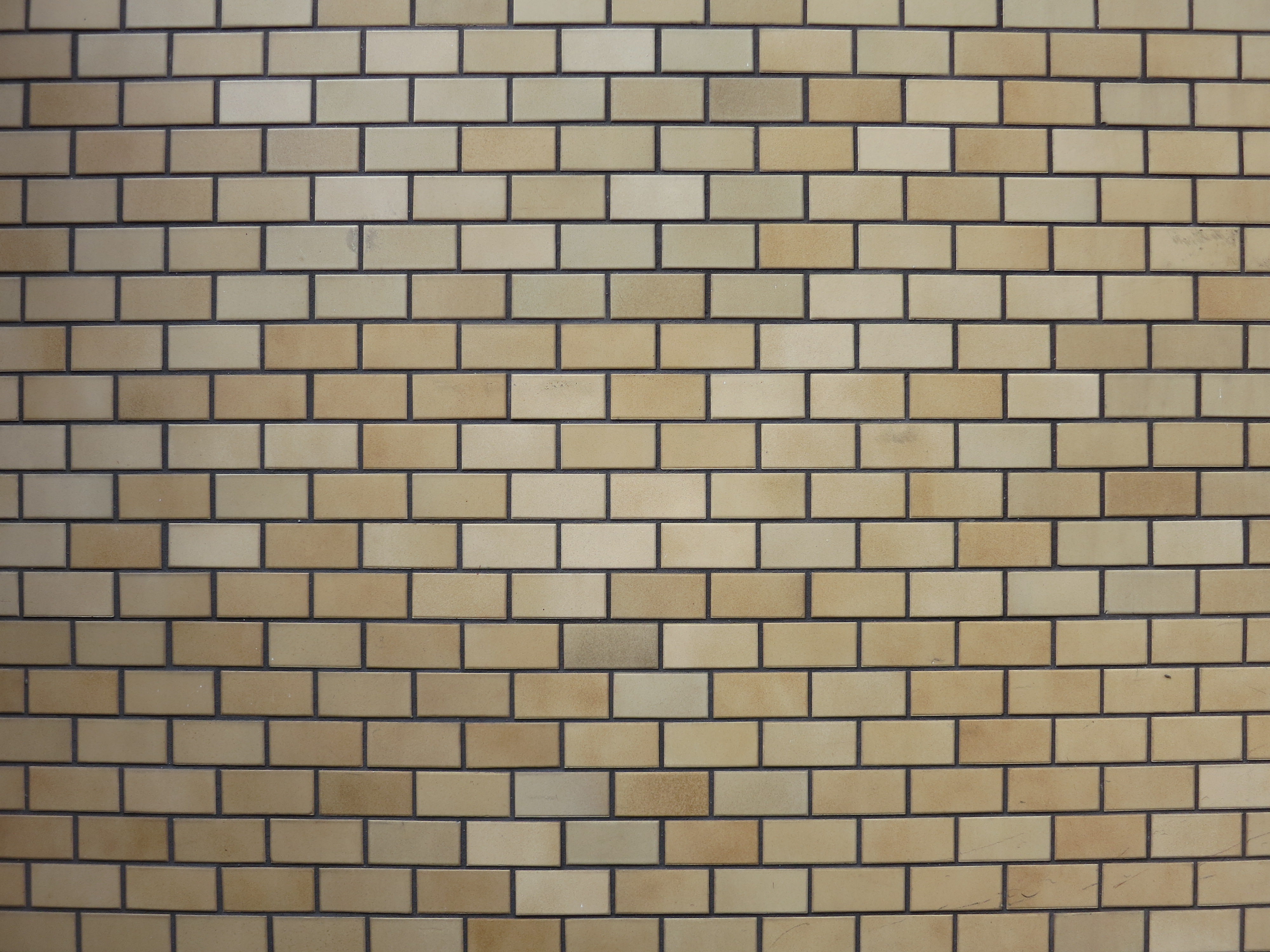 <b>広角端 / F2 / PowerShot S100 / 約2.9MB / 4,000×3,000 / 1/50秒 / F2 / +0.3EV / ISO80 / WB:くもり / 5.2mm</b>