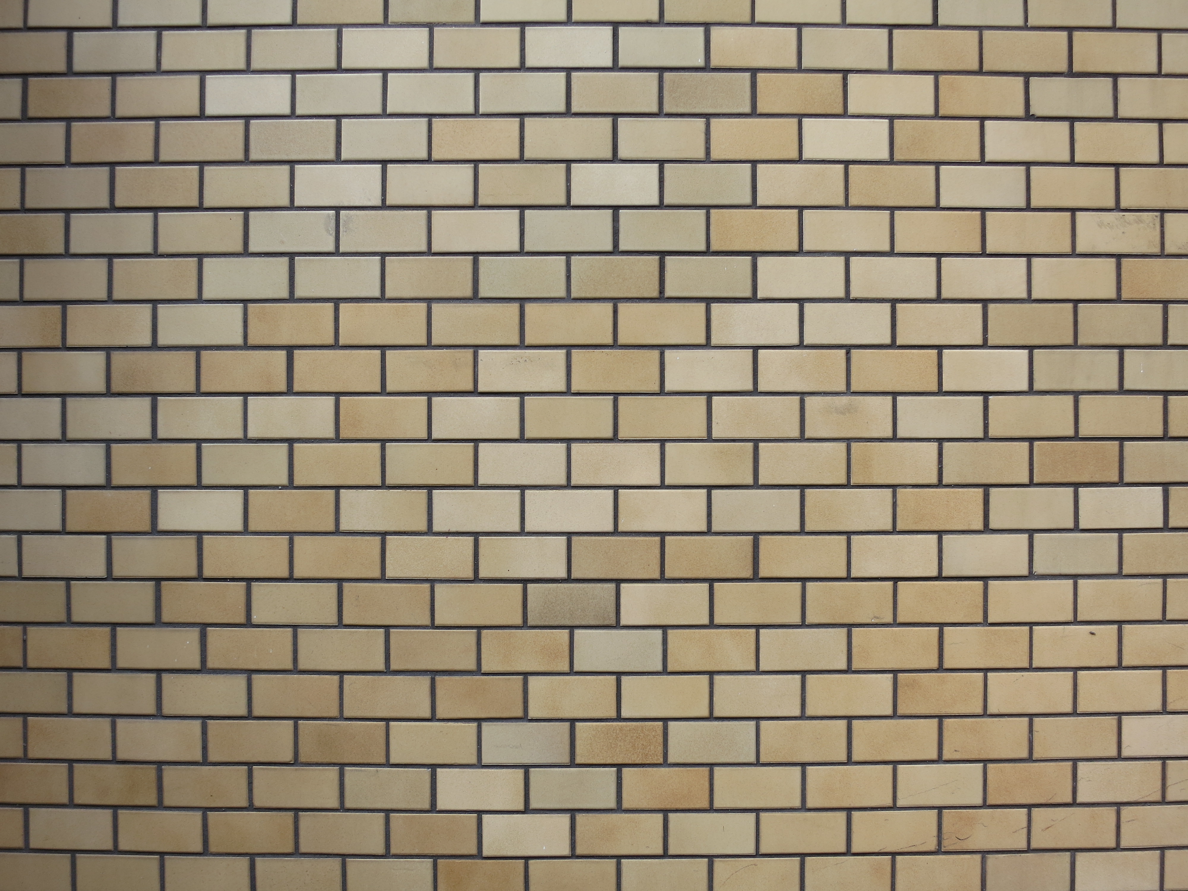 <b>広角端 / F2.8 / PowerShot S100 / 約2.9MB / 4,000×3,000 / 1/30秒 / F2.8 / +0.3EV / ISO80 / WB:くもり / 5.2mm</b>