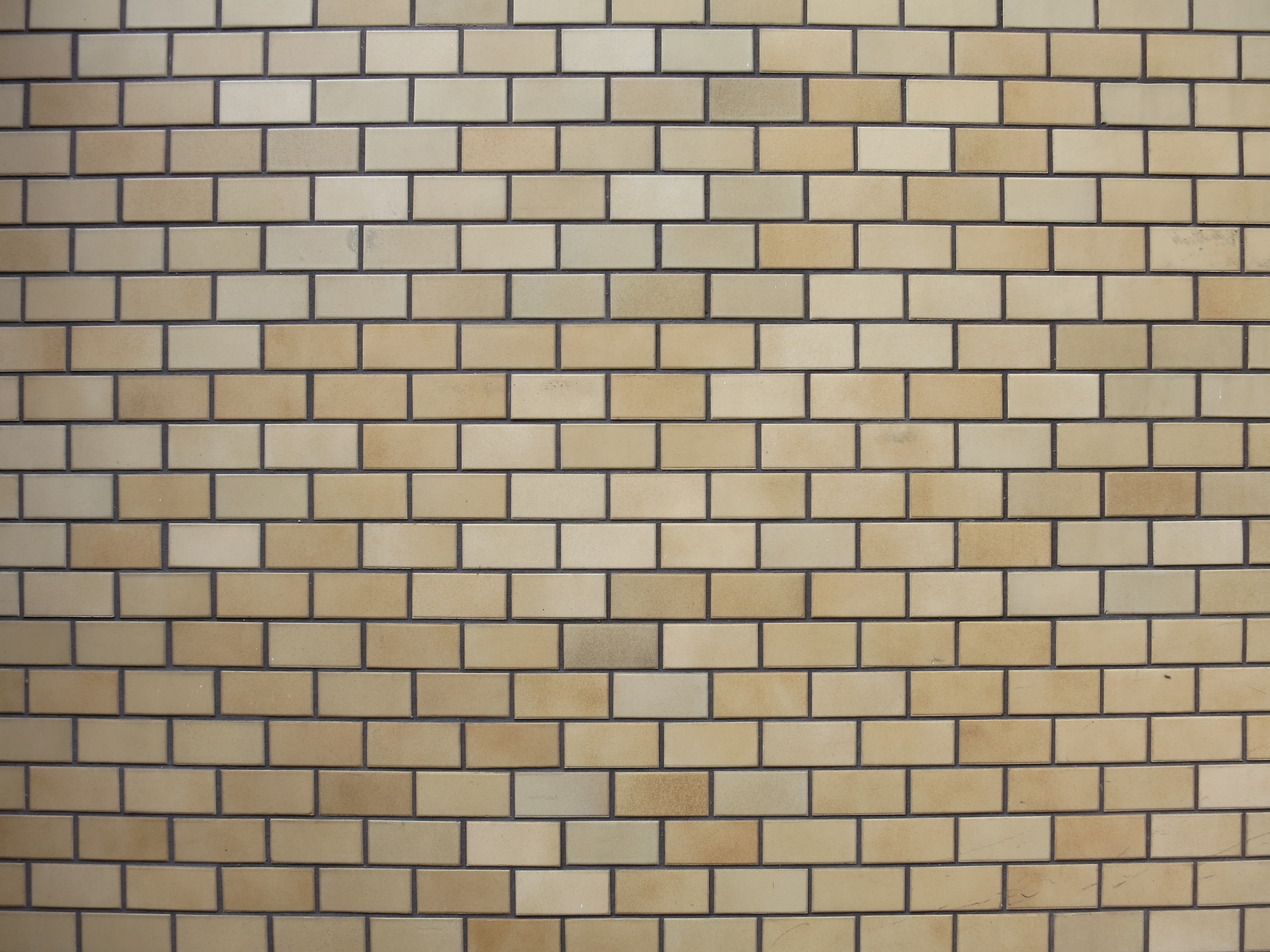 <b>広角端 / F5.6 / PowerShot S100 / 約2.7MB / 4,000×3,000 / 1/8秒 / F5.6 / +0.3EV / ISO80 / WB:くもり / 5.2mm</b>