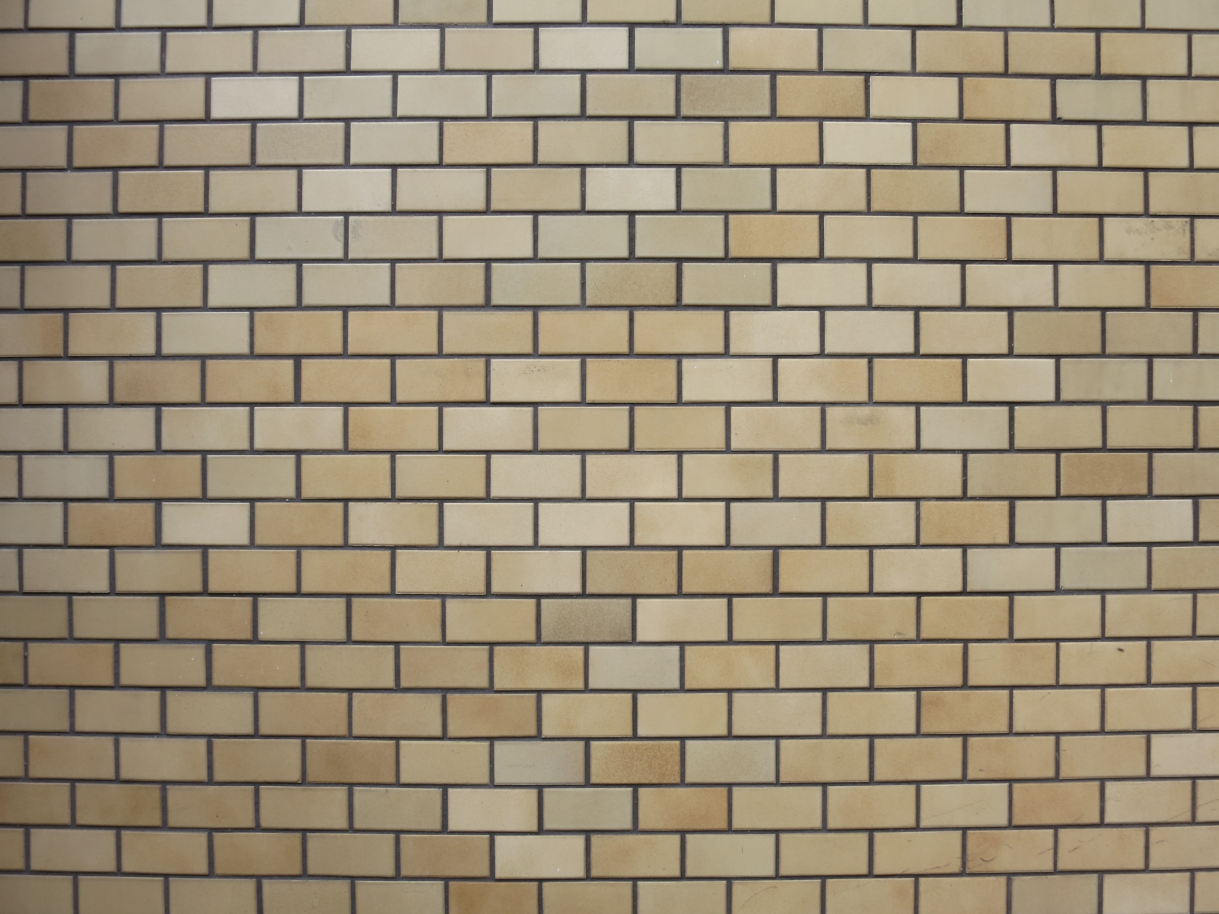 <b>広角端 / F8 / PowerShot S100 / 約2.5MB / 4,000×3,000 / 1/4秒 / F8 / +0.3EV / ISO80 / WB:くもり / 5.2mm</b>